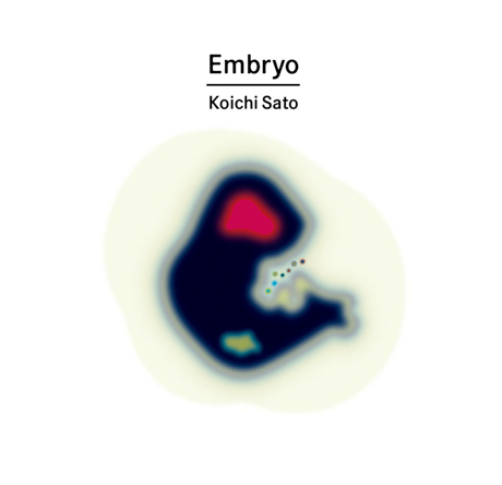 Cover art of Embryo by Koichi Sato