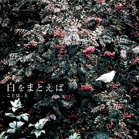 Cover art of Shiro o Matoeba by Koto ha, To