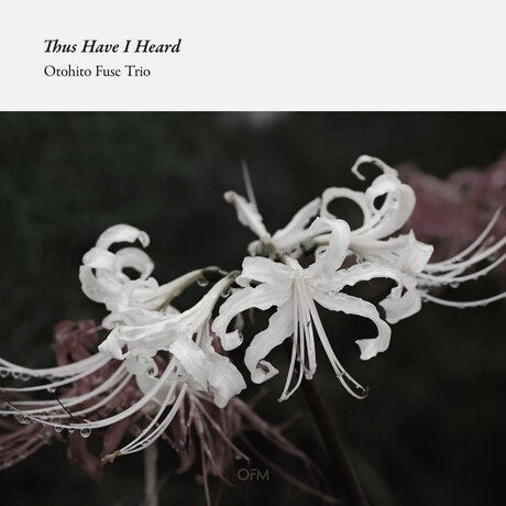 Cover art of Thus Have I Heard by Otohito Fuse Trio