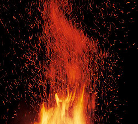Cover art of The Torch by Rabbitoo
